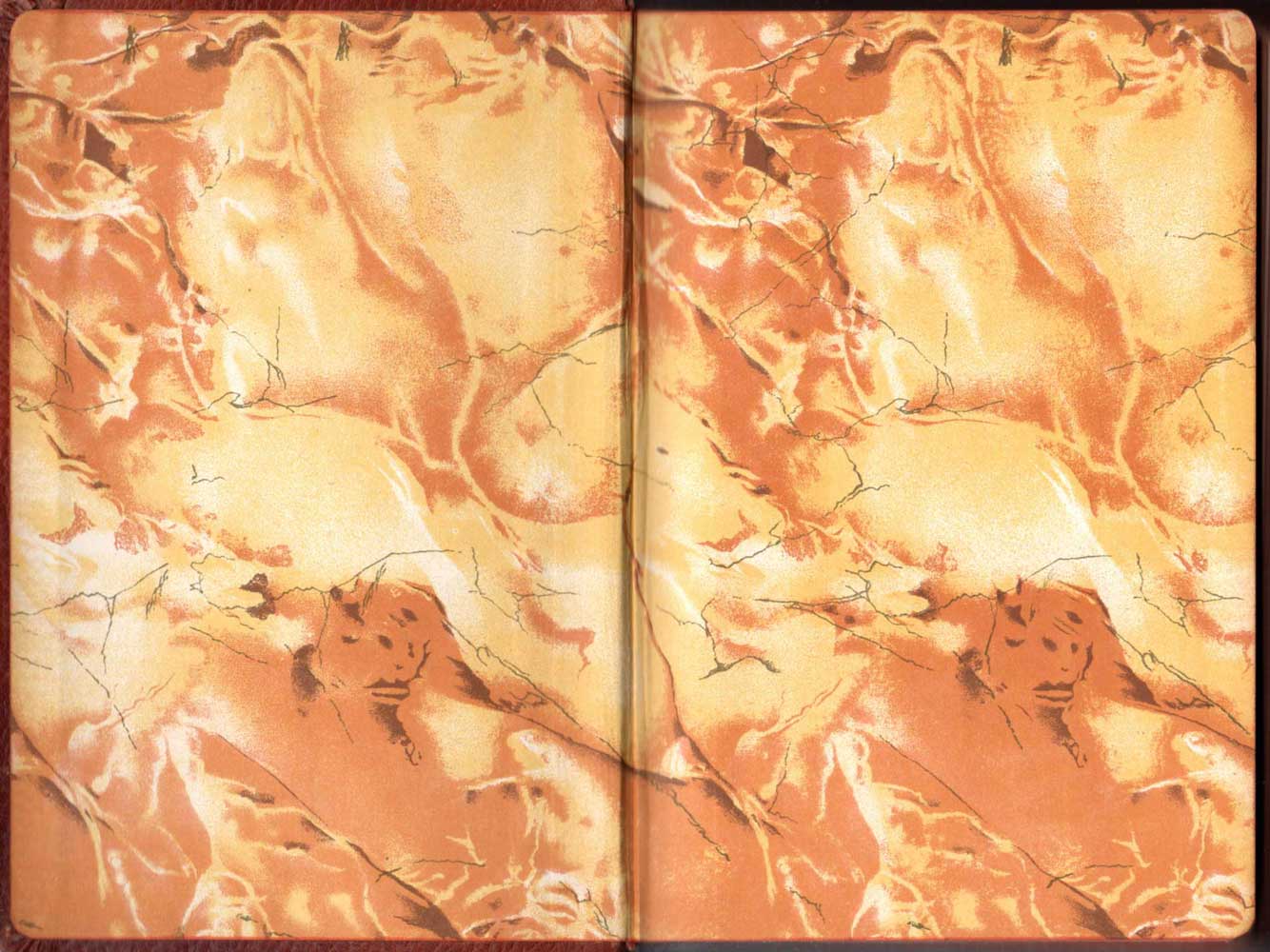 endpapers amsco
